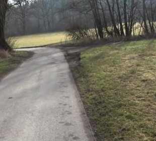 Rundwanderung durch den Rauhen Rammert Hemmendorf