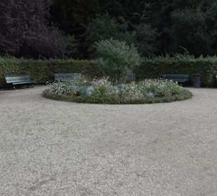 Rosengarten im Tiergarten