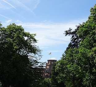 Schloss Heidelberg und Umgebung