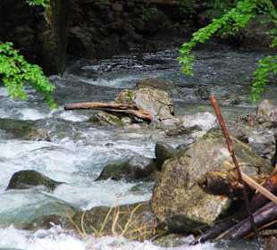 Der Plöckenpass 06-2011