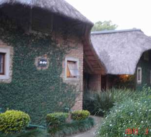 Krüger Nationalpark