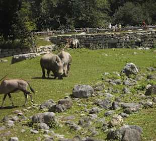 Gehege diverser Tiere