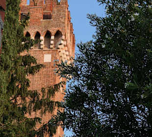 Scaligerburg / Lazise