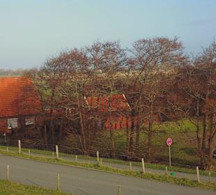 Vom Deich aus die Landschaft