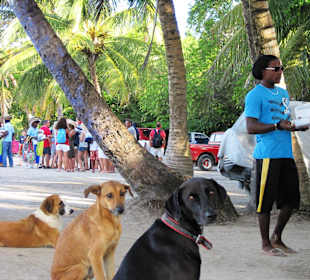 Morgens am Hafen von Bayahibe