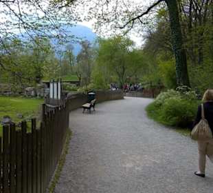 Südamerika Bereich - Litschi Wasserbock