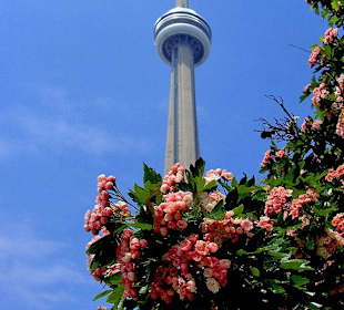 Toronto CN Tower.