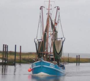 Der Hafen von Fedderwardersiel