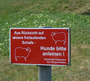 Neue Verkehrsschilder?