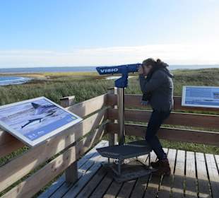Natur Erleben Langwarder Groden Butjadingen