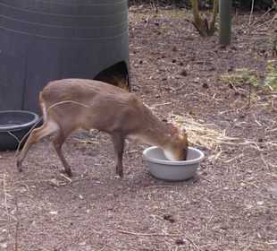 Weltvogelpark Walsrode