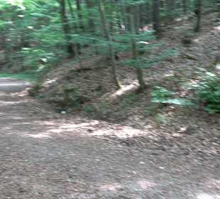 Rundwanderung Klingenbachtal - Sulzbachsee