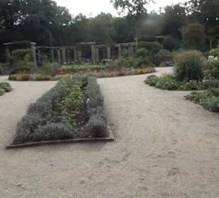 Rosengarten im Tiergarten