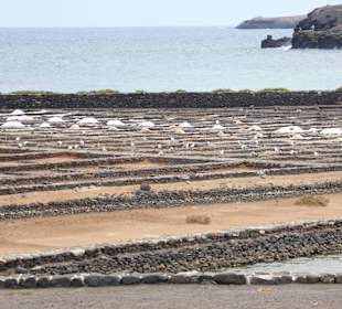 Saline im Museo de la Sal