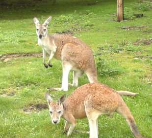 Zoo Olomouc