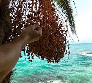 Strand Anissaras 