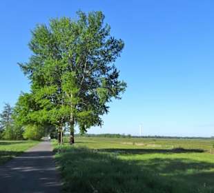 Auf dem Jan-Reiners-Weg durch das Hollerland