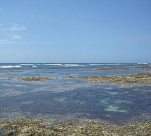 Ausflug Glasbodenboot Diani Beach