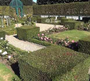 Niederländischer Rosengarten