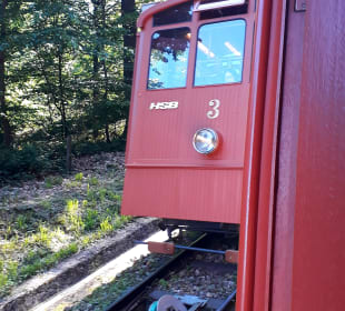 Fahrt mit der Königstuhlbahn