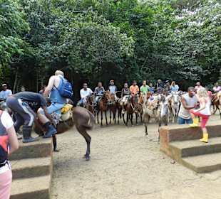 Ausritt zum Wasserfall Limon