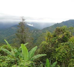 Wildlife Expeditions