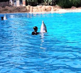 Loro Parque 