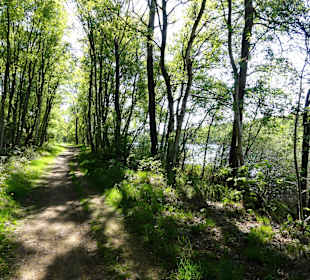 Impressionen vom Rundweg um den Oyter See