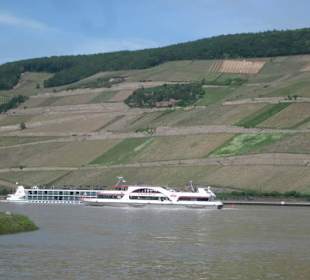 Fähre Bingen-Rüdesheim-Bingen