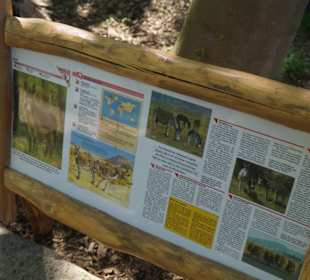 Zoo Arche Noah Grömitz