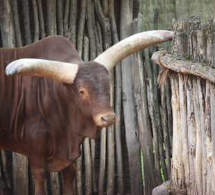 ZOOM Erlebniswelt Gelsenkirchen