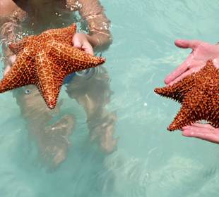 Egal ob klein oder groß 