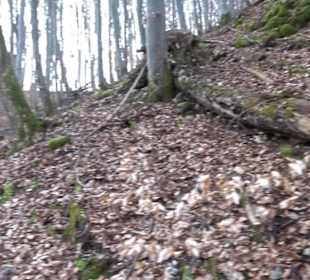 Wolfsschlucht