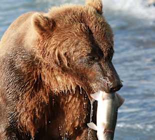 Der nächste Winter kommt bestimmt