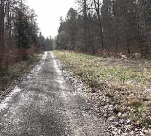 Gomaringer Rundweg - Zu den Giganten im Wald