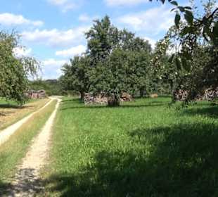 Hochgehnießen - Premiumspazierwanderweg