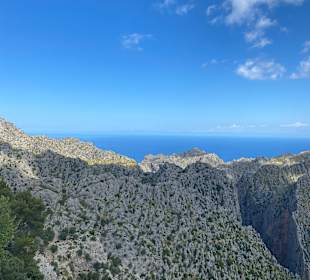 Wandern Port de Pollença / Puerto de Pollensa