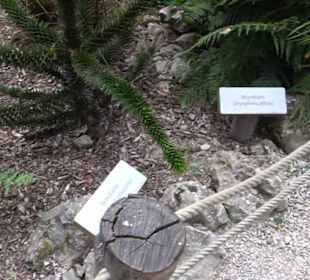 Dinosaurier Museum Altmühltal