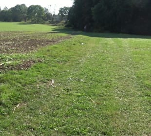 Kelten-Erlebnis-Pfad Erkenbrechtsweiler