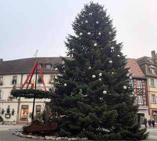 Weihnachtsmarkt Wissembourg in Wissembourg