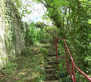 Wallersteiner Felsen