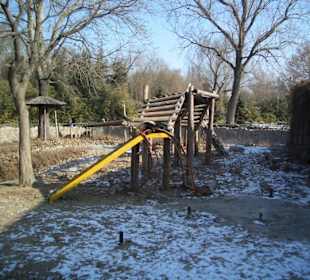 Zoo