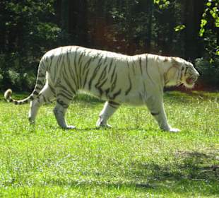 Serengeti Park Hodenhagen