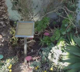 Real Jardín Botánico de Madrid