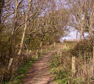 Naturschutzgebiet Geltinger Birk
