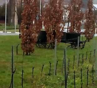 1. Deutscher Weinlehrpfad in Schweigen