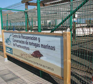 Schildkrötenaufzuchtstation