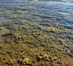 Vom Sunrise Richtung Side am Strand