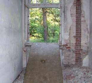 Zakład dla Nerwowo i Psychicznie Chorych Żydów Zofiówka