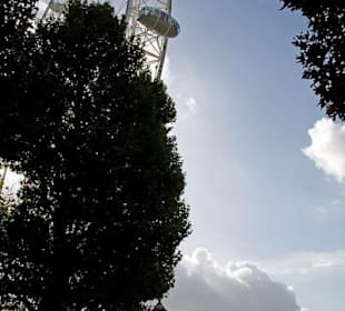 London Eye